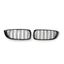 Dual-Stripe Kidney Grille (M Performance - Gloss Black) – BMW 4 Series F32(14–20)