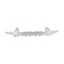 Front Bumper Stiffner Reinforcement Carrier – BMW X3 & X4  G01 / G02 (18–24)